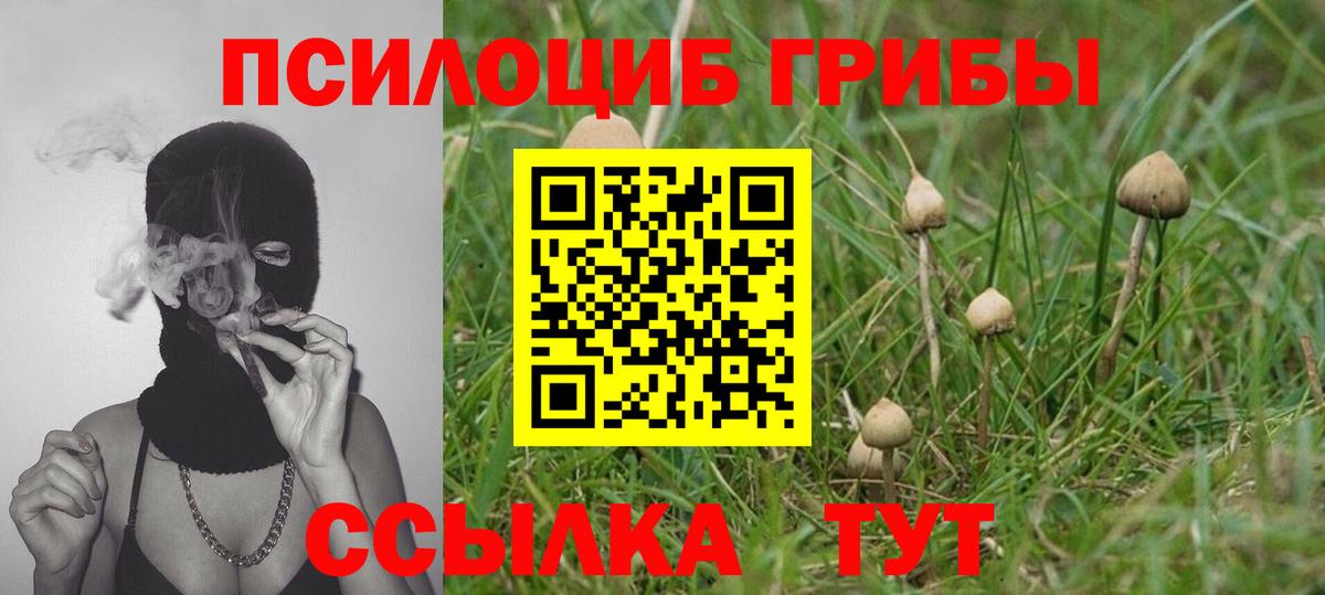 Псилоцибиновые грибы прущие грибы Елизово
