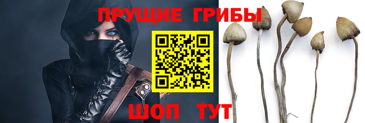 Елизово  купить наркоту  Вход с VPN  Галлюциногенные грибы прущие грибы 